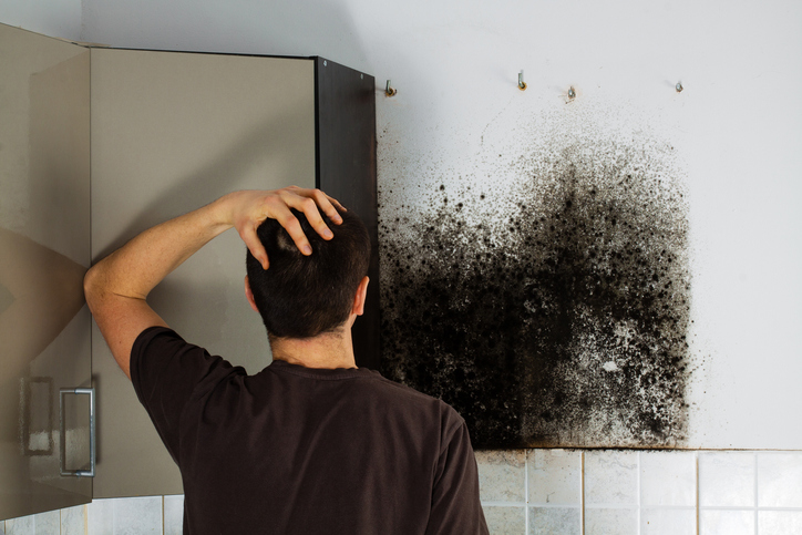 Guest Post - Mold Inspection & Remediation Mistakes to Avoid