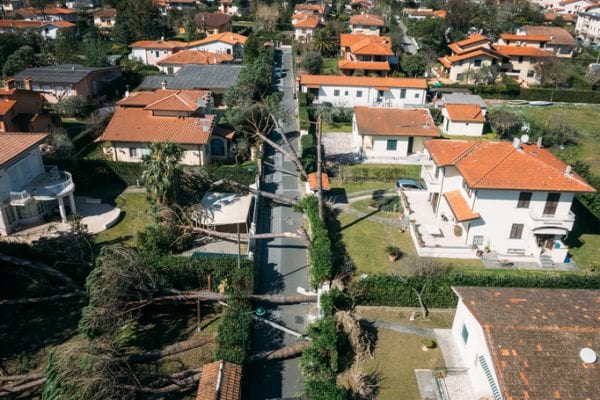 drone view of hurricane damage and fallen palm trees in neighborhood