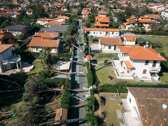 drone view of hurricane damage and fallen palm trees in neighborhood