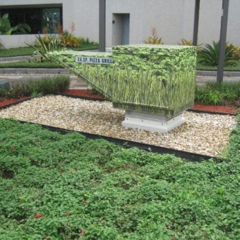 office building green roof with roof equipment made to look like plants