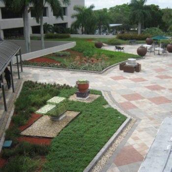 office building green roof with grassy areas and seating