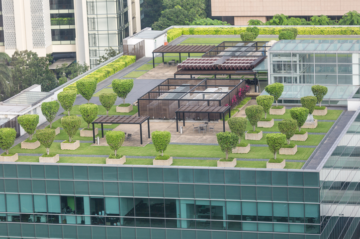 rendering of office building featuring a green roof with trees and grass areas