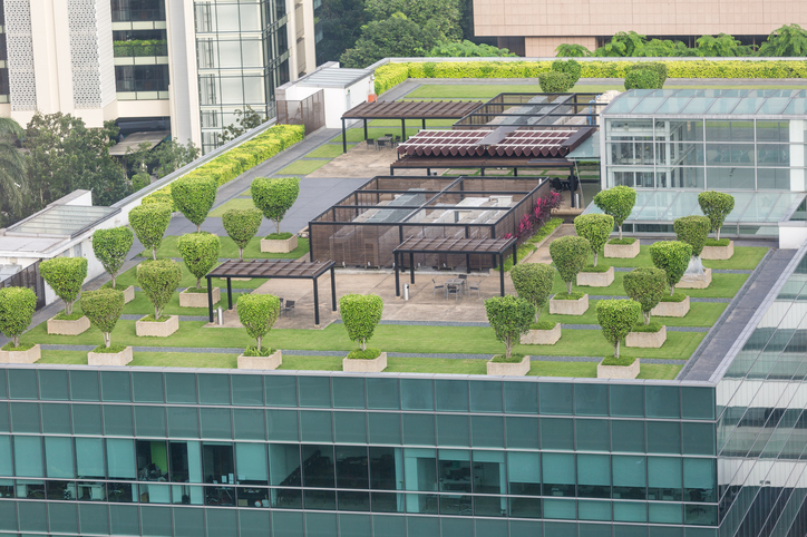 business plan for green roof