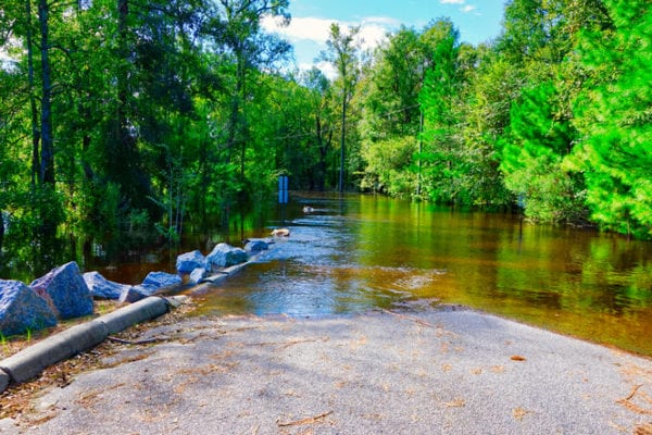 hurricane florence