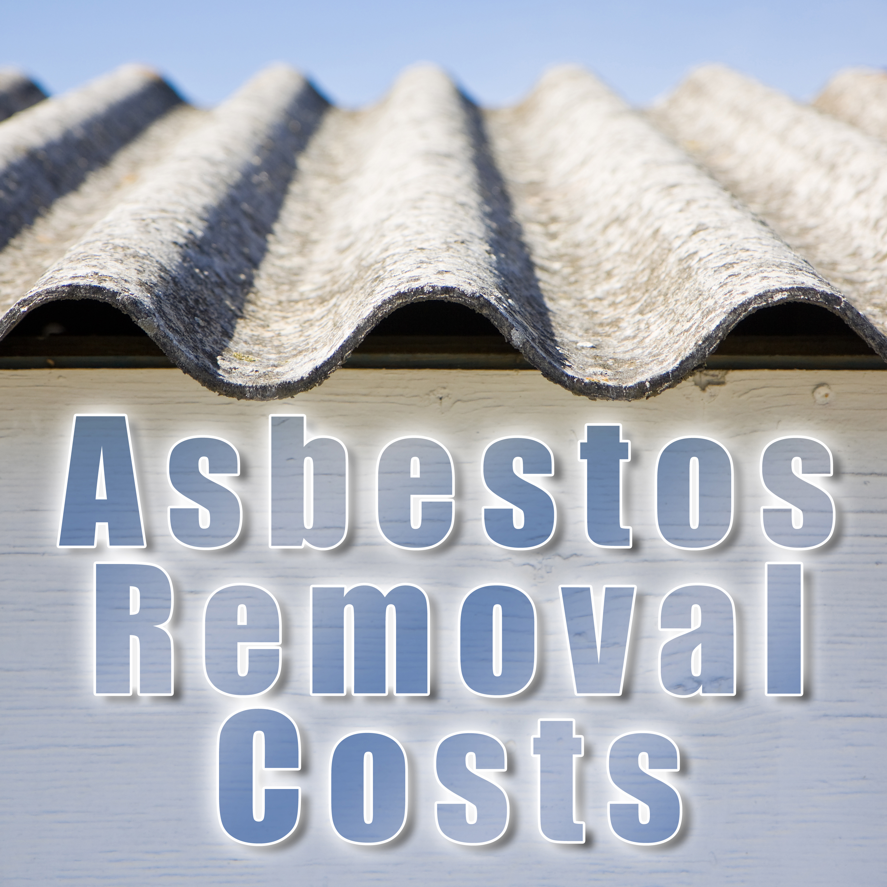 Asbestos Removal Kennesaw Ga
